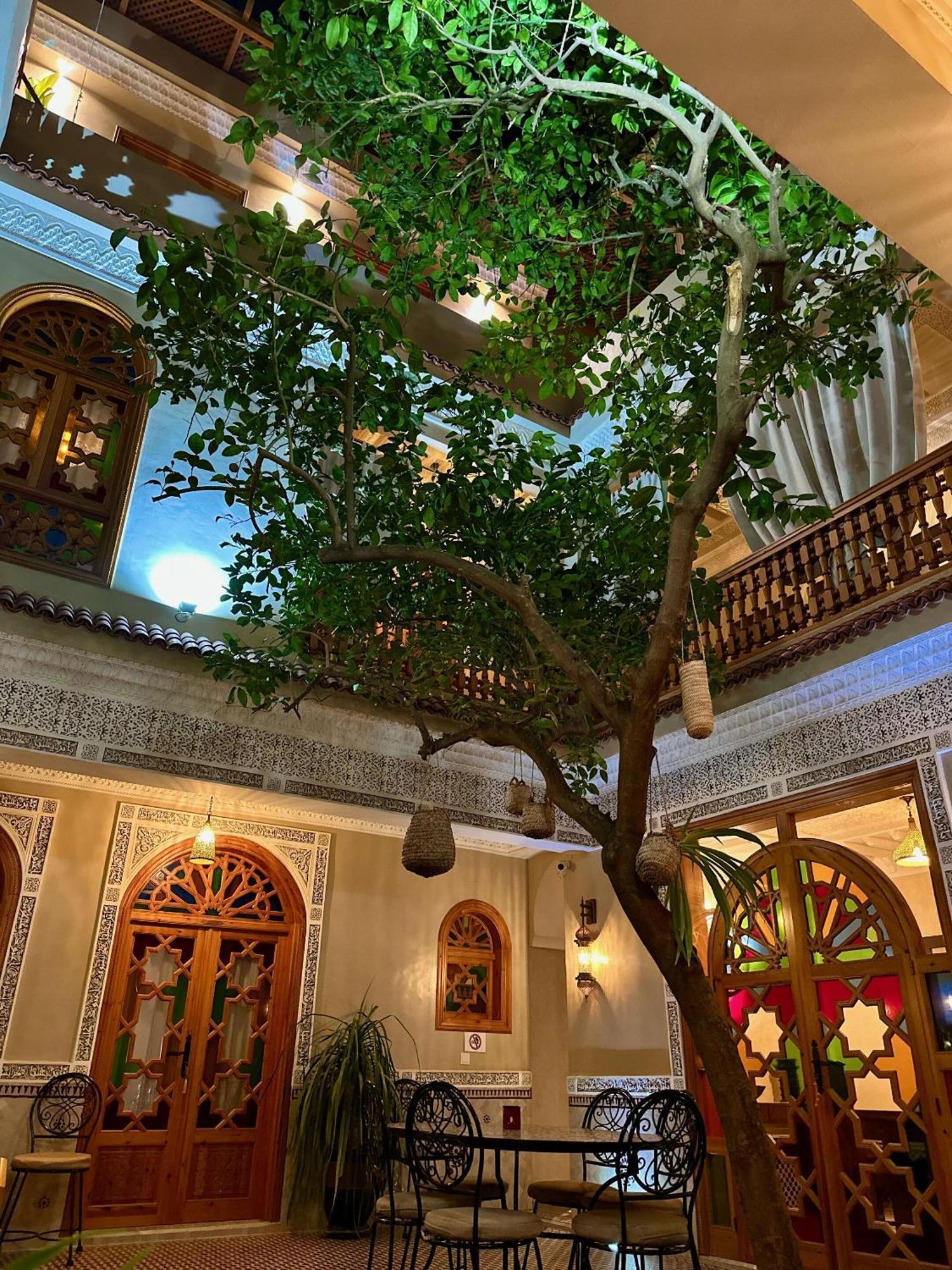 Riad Shajara Marrakesh Bagian luar foto